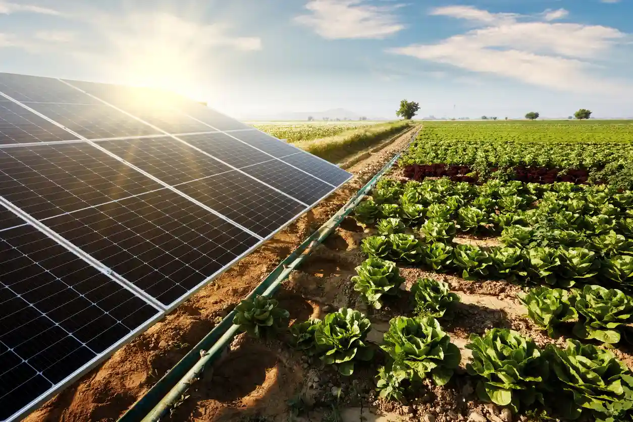 Soluções em Energia Solar Rural (Agro)